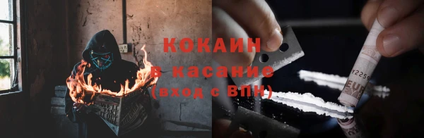 шишки Алексин