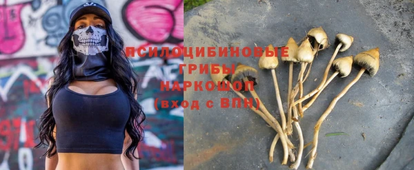 шишки Алексин