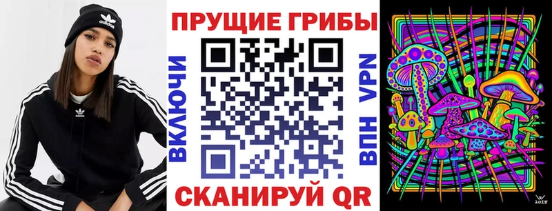 Псилоцибиновые грибы мицелий  Николаевск-на-Амуре 